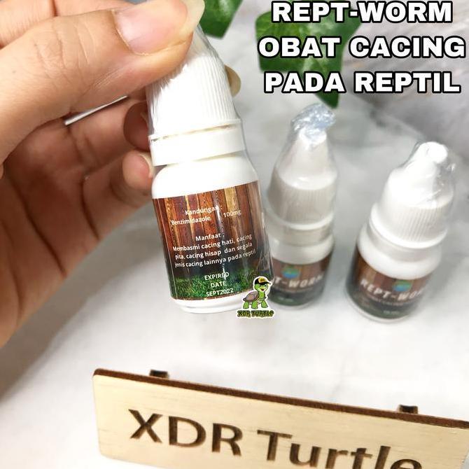 REPT-WORM OBAT CACING REPTIL KURA DARAT SULCATA FORSTENI PARDALIS