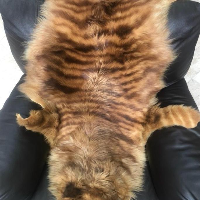 pajangan bulu ekor rubah emas artic gantungan kunci