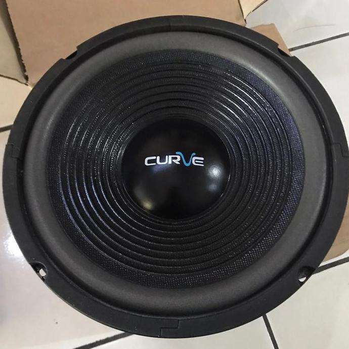 Speaker 10 Inch Curve (Luar Jawa ) 25H100Suwpp Woofer Speakers Subwoofer Bass + Kardus Tambahan Untu