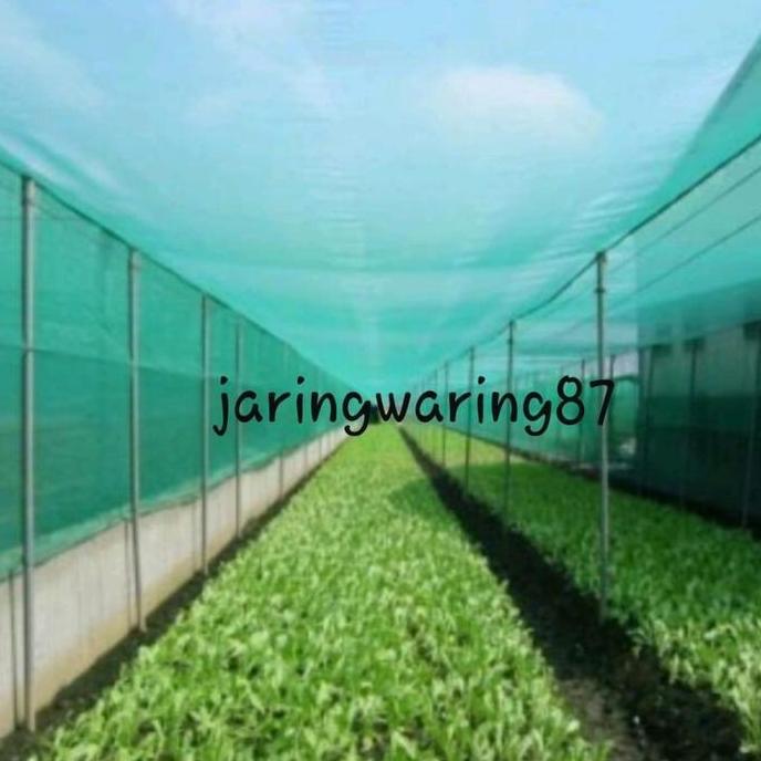 Waring Kasa Hijau 10 Meter/Safety Net Hijau/Insect Net/Waring Keramba