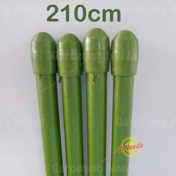 Ground- Ajir Tanaman / Plant Stake 11 X 2100Mm (210Cm)