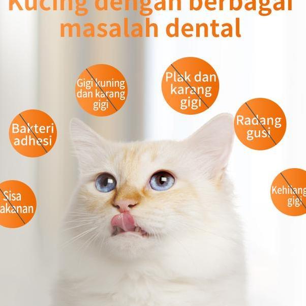 Snack Penghilang Bau Nafas Mulut Kucing Pembersih Plak Gigi Penyegar Dialy Oral Care 50G Snack Ee Ku
