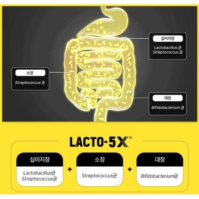 Cod,Bisa- Lacto Fit Probiotics Gold Lacto-Fit Korea - Lactofit