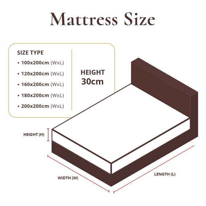 Allthebest- Kasur Springbed Lady Americana Viance Mattress Only ( Medium )