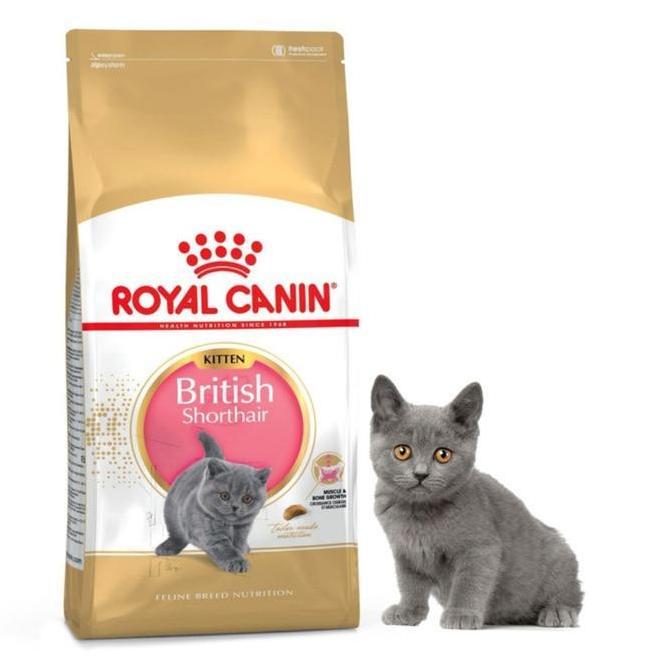 Royal Canin British Kitten 400gr Royal Canin British Kitten