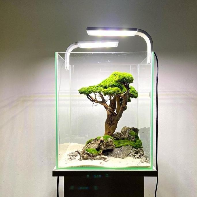 Aquascape mini bonsai fullset khusus gojek instan