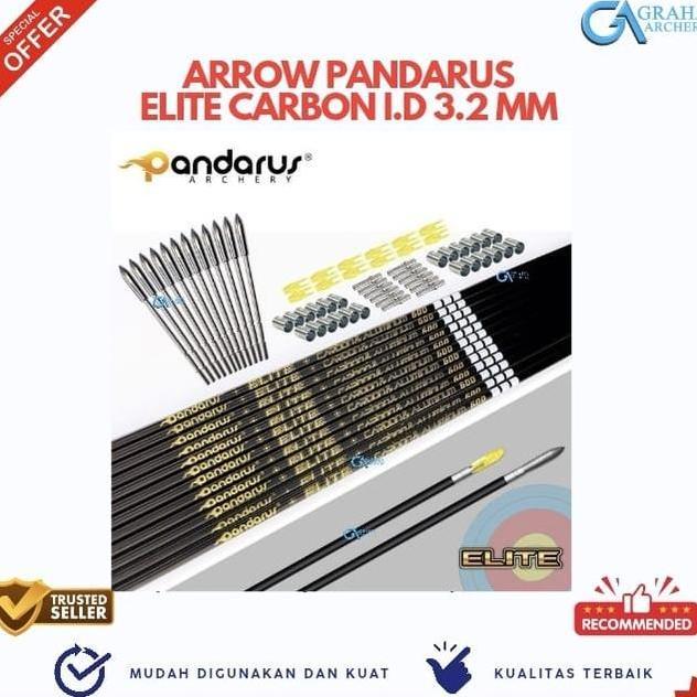 ARROW PANDARUS ELITE X10 ID 3.2 MM CARBON ALUMINIUM
