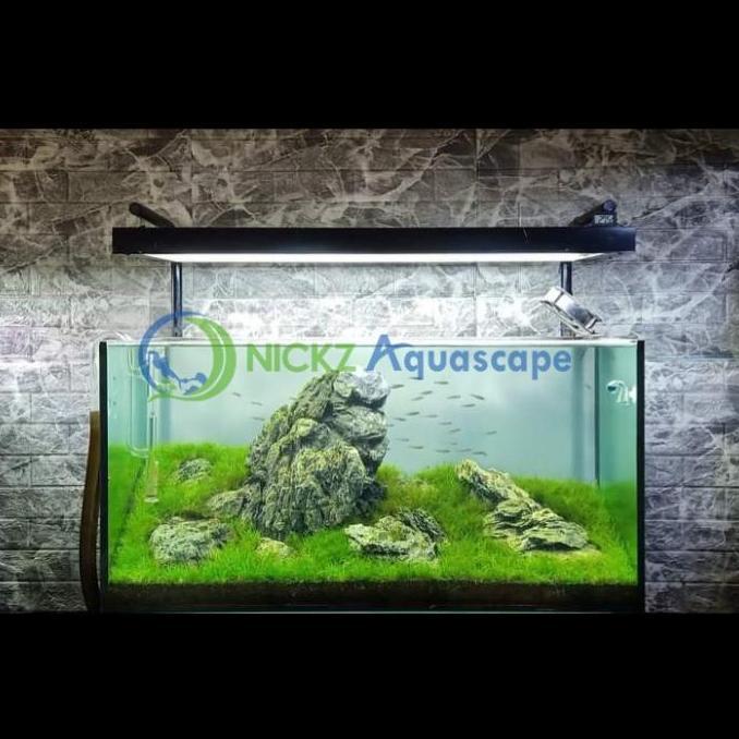 NICKZ AQUASCAPE DEKORASI TEMA IWAGUMI TANK 100 AQUASCAPE