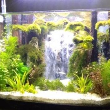 TEBING AIR TERJUN / MINIATUR AIR TERJUN AQUASCAPE / AQUARIUM UK. M