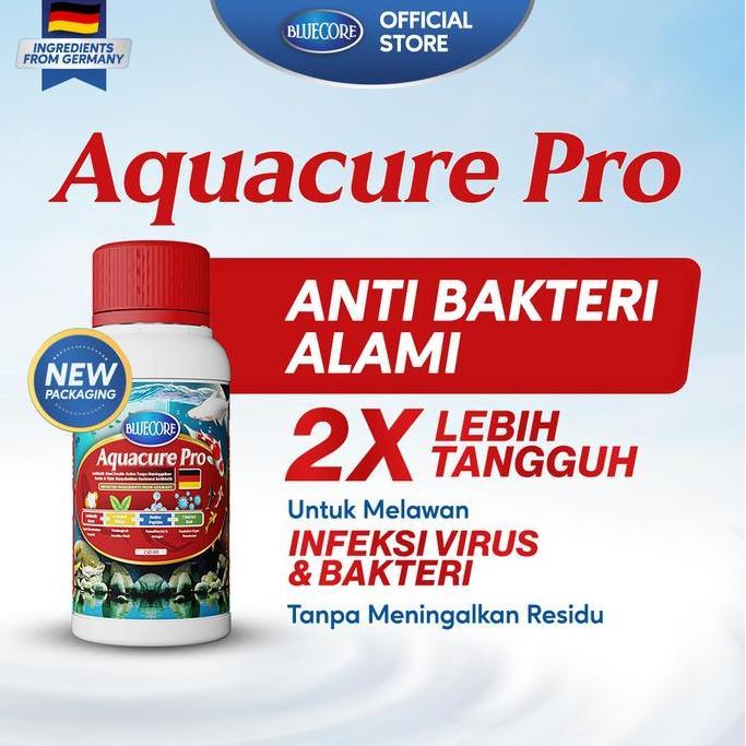 Blebeb- Bluecore Aquacure-Pro Antibiotik Alami Ikan Dengan Double Action Formula (Extra Herbs) Untuk