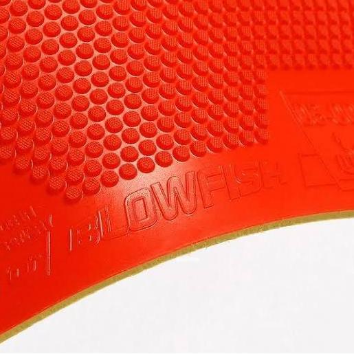 Karet Bat Bintik Pendek Andro Blowfish