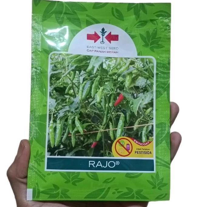 PROMO BENIH CABAI RAJO RAWIT HIJAU ISI 2250 BIJI Merah