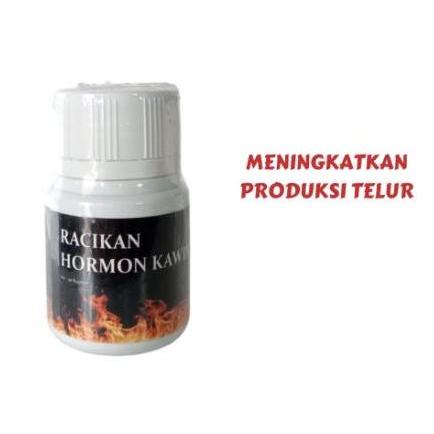 Hormon Kawin Ayam petarung ERNOV