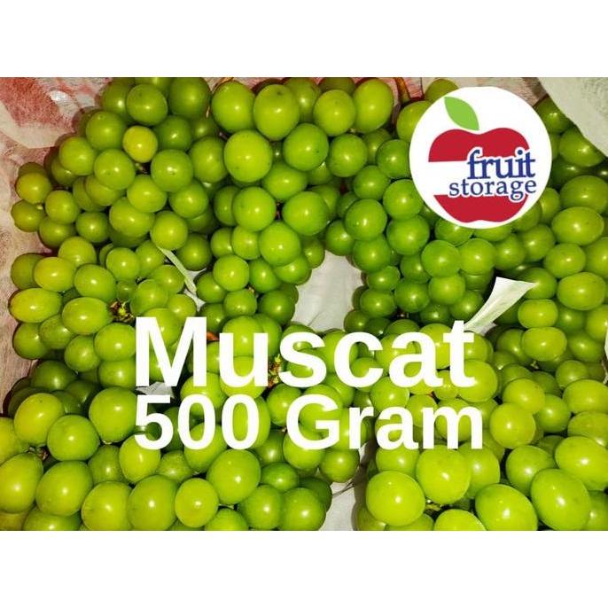 Buah Anggur Muscat Hijau / Merah Seedless China Fresh Grapes