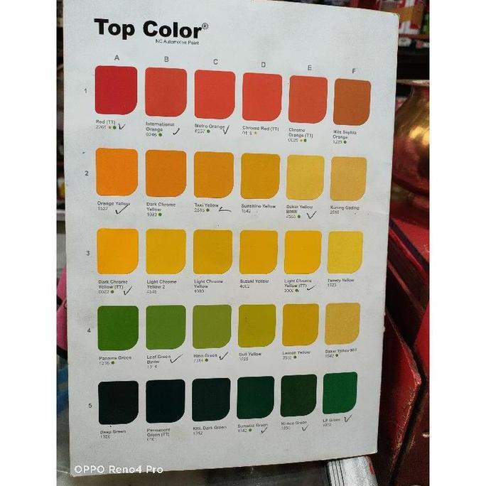 Top Color Danapaint 1 Kg