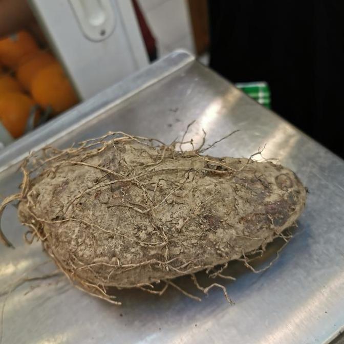 Frutexz- Buah Taisu Talas Ungu Keribang Thai Su Uwi Ungu Kalimantan Pontianak