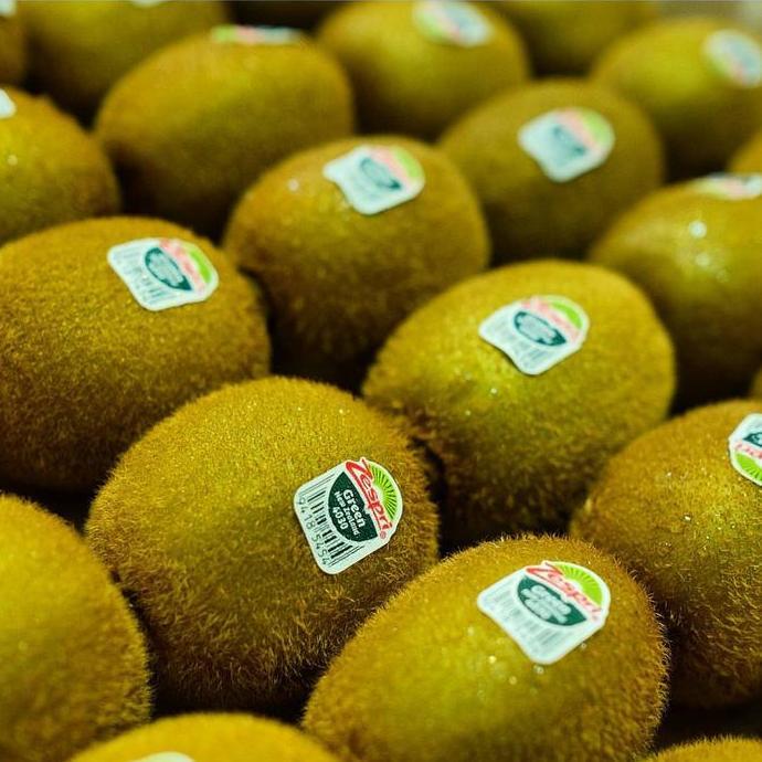 Frutexz- Buah Kiwi Hijau Green Zespri / Italia Besar