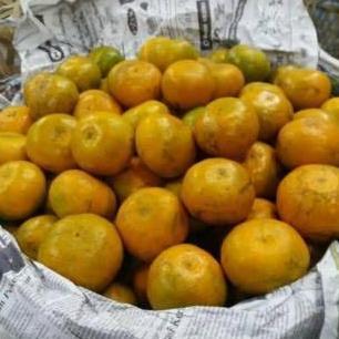 Frutexz- Jeruk Medan Super/1Kg