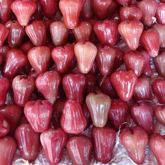 Frutexz- Buah Jambu Citra Merah | Jambu Air Citra Merah 1 Kg