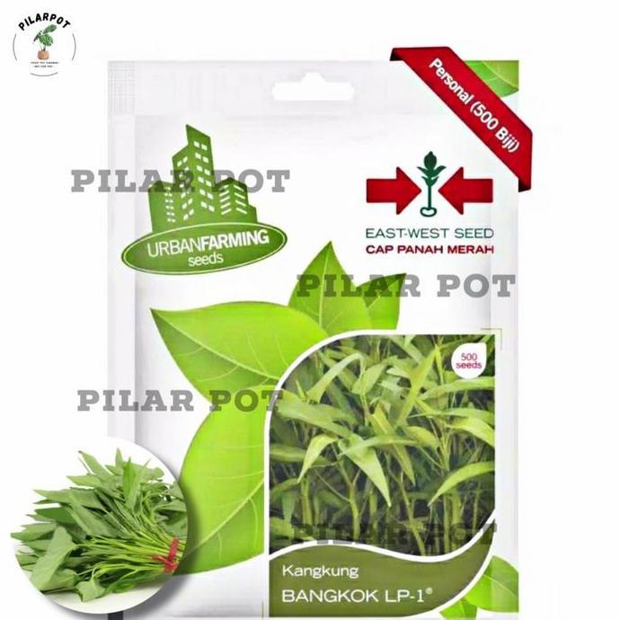 Gardendrm- Benih Bibit Kangkung Bangkok Lp Cap Panah Merah - Kangkung Bangkok Lp