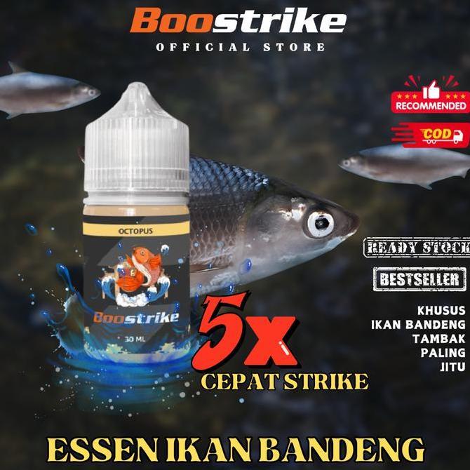 Essen Ikan Bandeng Tambak Air Tawar Dan Air Payau Umpan Mancing Jitu - Pancing (TERBAIK) (TERBARU) (