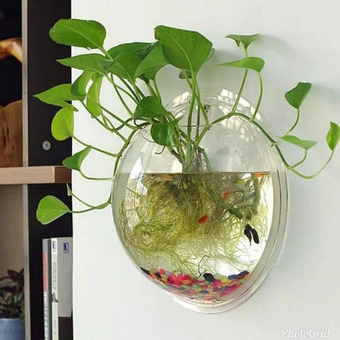 aquarium dinding tempel