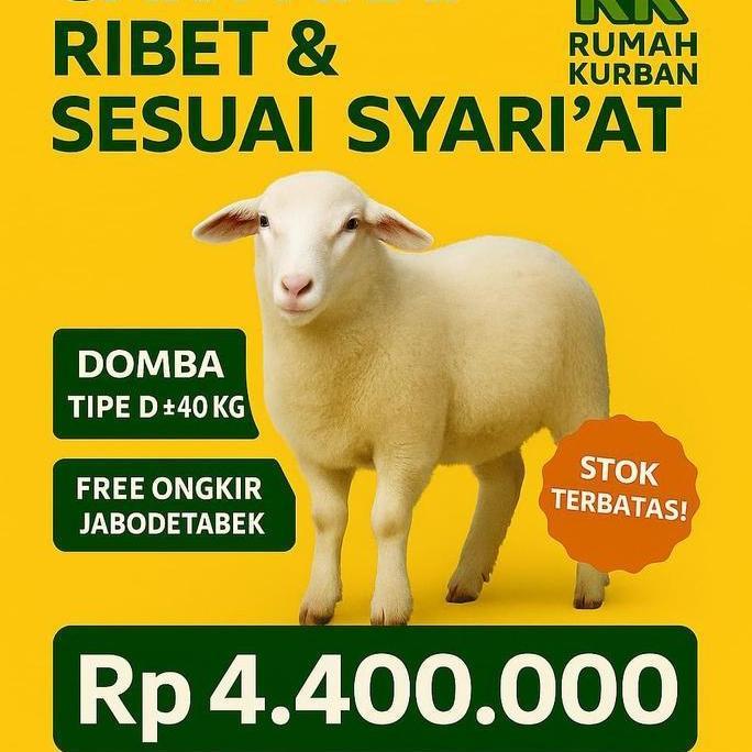 Terlaris Jual Hewan Kurban Domba Tipe D