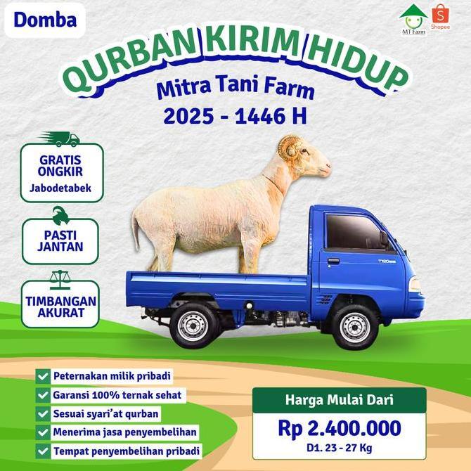 Terlaris Qurban Domba Tanduk Paket Qurban Hewan Qurban Mt Farm