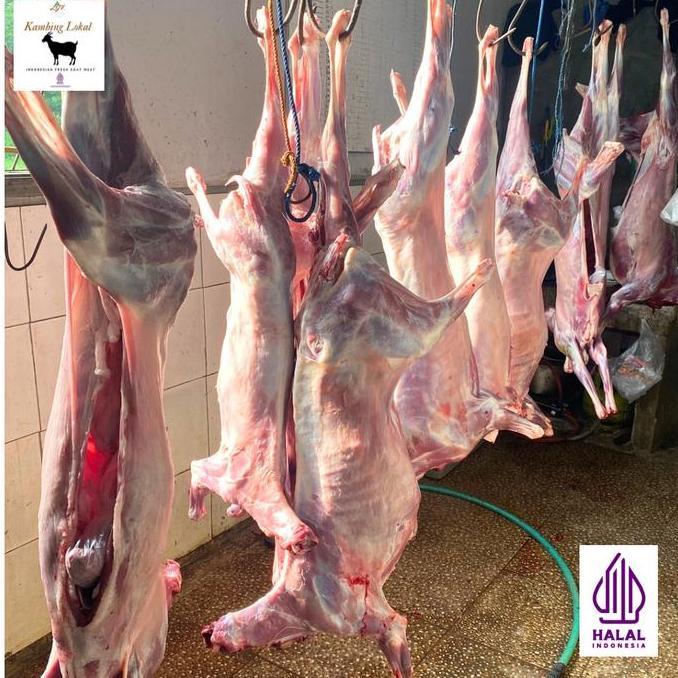 Terlaris Daging Kambing Fresh, Karkas Kambing Muda
