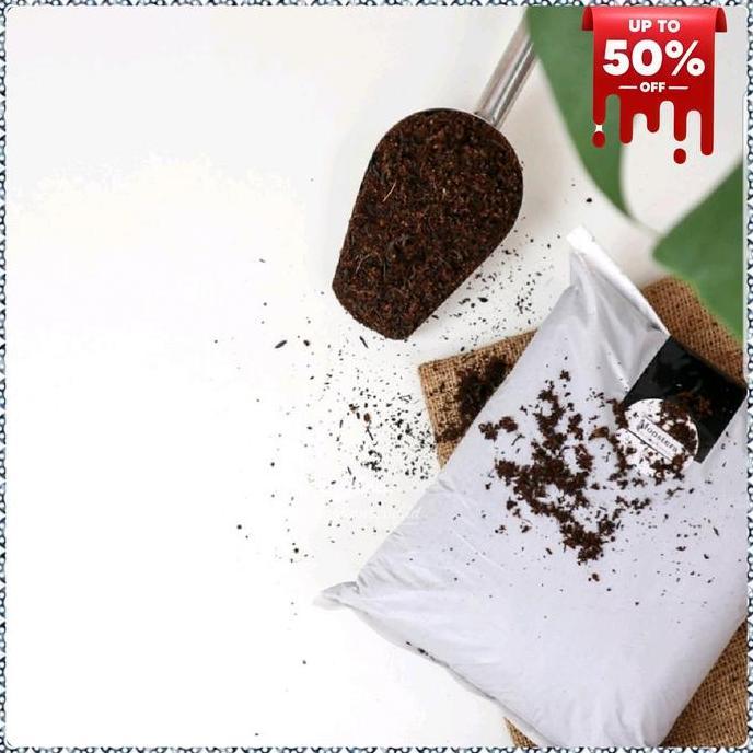 media tanam monstera philodendron siap pakai - media tanam monstera