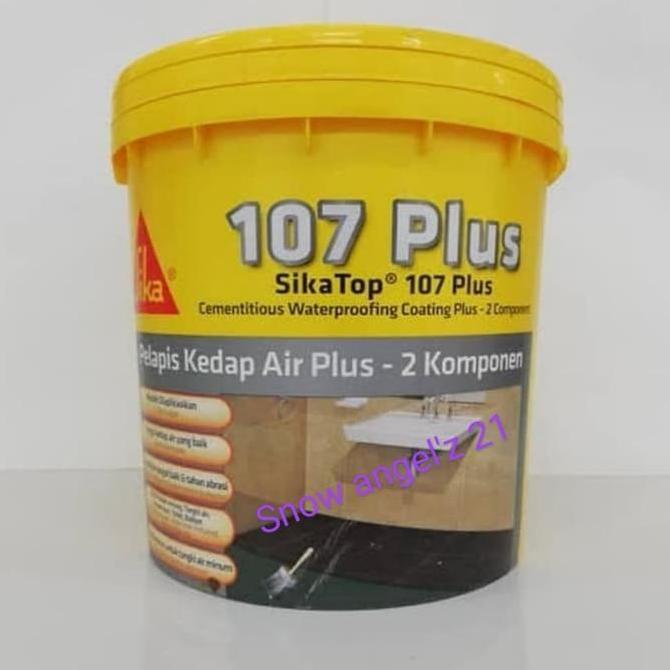 Ironbig- Sika Top 107 Plus