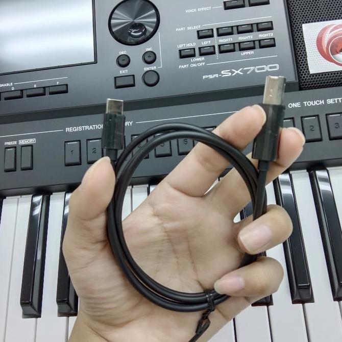 Kabel Midi Type C To Usb Host