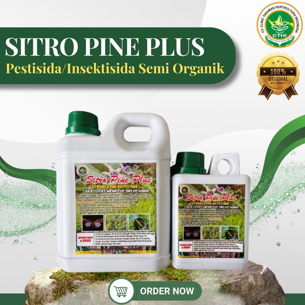 [RDY] 1 SITRO PINE PLUS (SPP CTHI) | Pestisida Nabati Ramah Lingkungan Efektif Mengatasi Hama Ulat G