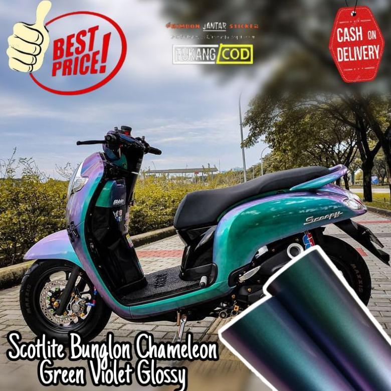 terlaris skotlet bunglon aurora stiker scotlite chameleon merk infinity