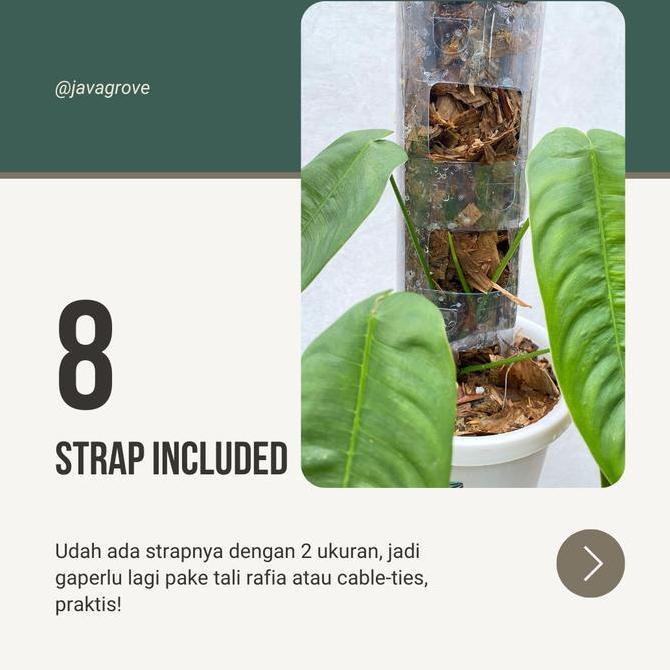 10 pcs TurusTetik / Turus Plastik Mika Bening Mica / Moss pole TURUS ESTETIK