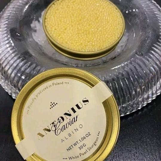 Belisekarang- Antonious Premium Caviar Siberian Sturgeon And Oscietra 5 Star Grade