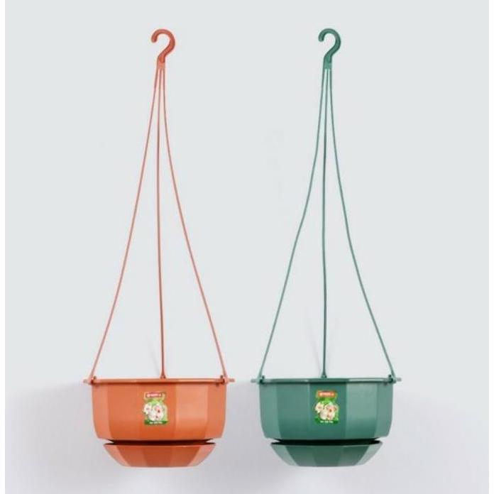 Pot bunga tanaman gantung Gardenia lion star 19