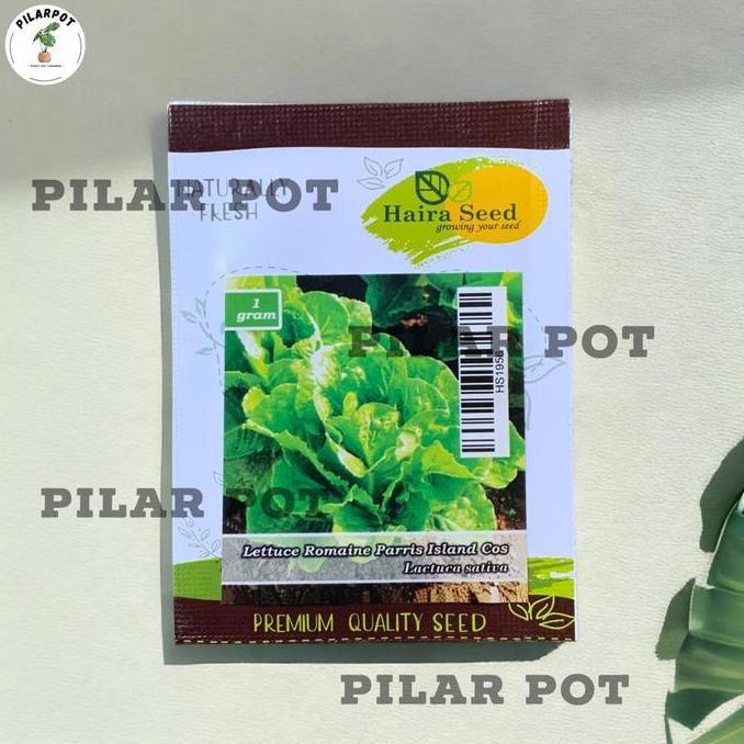 Benih Bibit Selada Green Romaine Parris Island Cos Haira Seed - SELADA