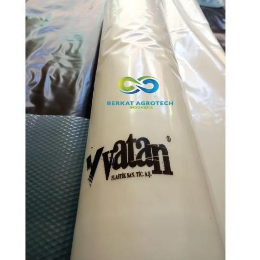 PLASTIK UV Vatan Import Turkey 6x60m (Per Meter)