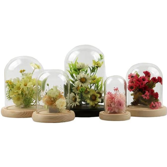 Flower Glass Dome Classic / Kubah Kaca Bunga / Kubah Display Kaca Transparan / Display Dome / Glass 