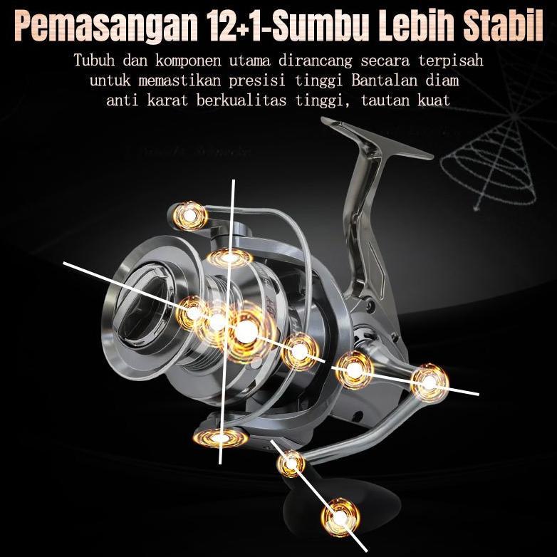 HOT DEALS Reel Pancing DS 8000-10000 Series Dual Purpose Fishing Reel 12+1BB Carp Fishing Reel 4.1:1