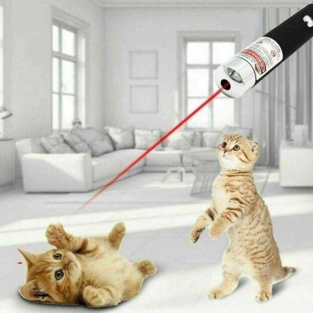 YUKAAME Gantungan Kunci Red Laser Pointer Tunjuk Senter Lampu Mini 2in1 2 in 1 Red Dot Mainan Anak K