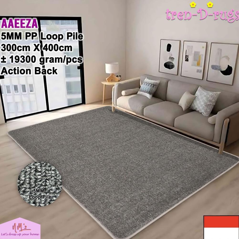 Karpet Polos Jumbo Lantai Bulu Ruang Tamu Tidur Permadani Tebal 300 cm x 400 cm - NMs