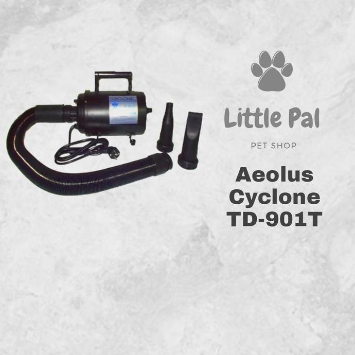 Aeolus Cyclone TD-901T