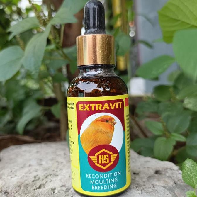 TERBARU VITAMIN KENARI HS EXTRAVIT BURUNG EXTRA SEHAT DAN EXTRA FIT KUALITAS NYATA UNTUK BURUNG KENA