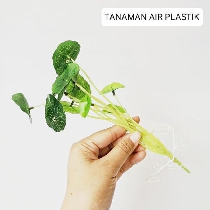 Vas Kaca Bening Tabung / Pot Kaca Tanaman Air Hidroponik Aesthetic