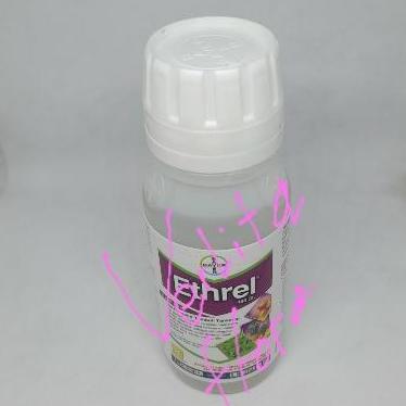 ZPT Ethrel 100ml