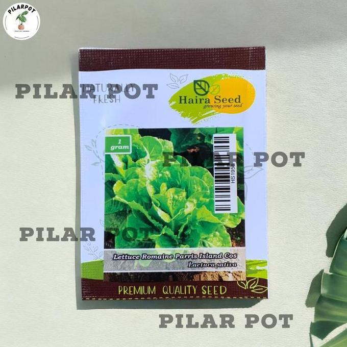 Benih Bibit Selada Green Romaine Parris Island Cos Haira Seed - SELADA
