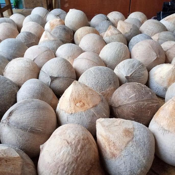 Frutting- Es Jeruk Kelapa Kopyor