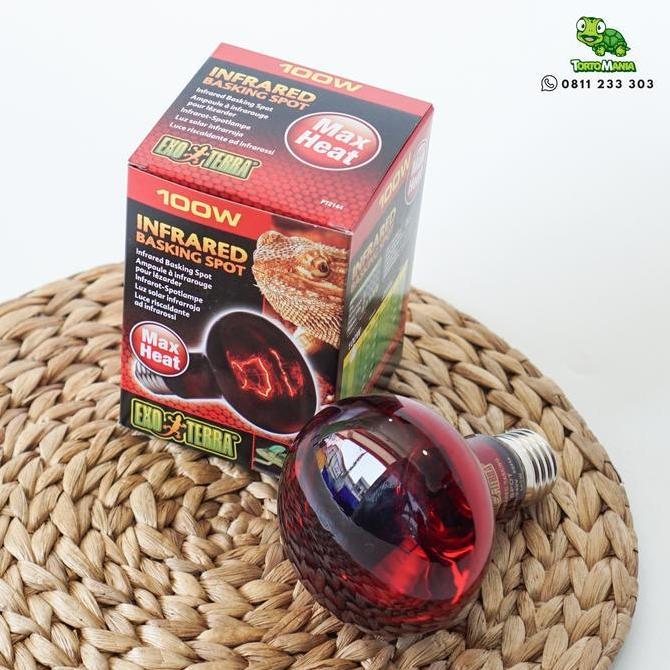 INFRARED 100W EXOTERRA / LAMPU INFRARED